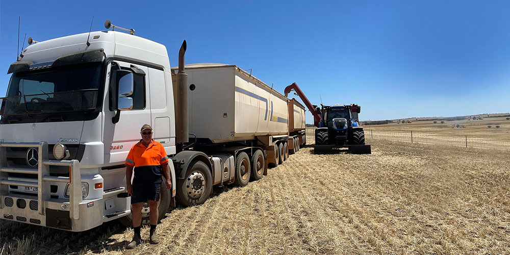 Grower bids remain well below global values