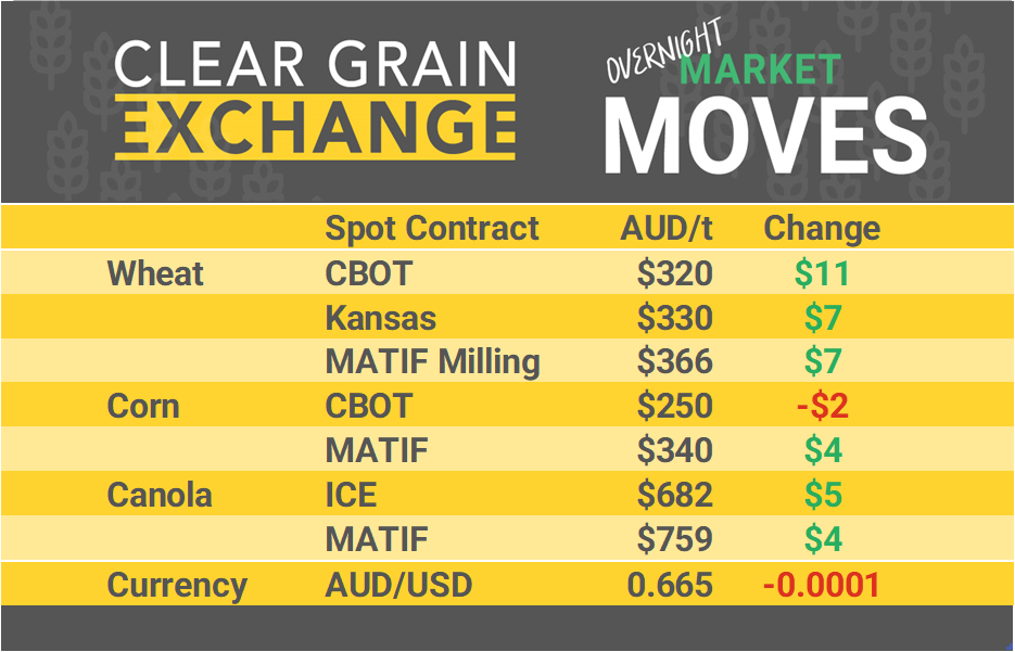 Grain Report Friday - 28th June