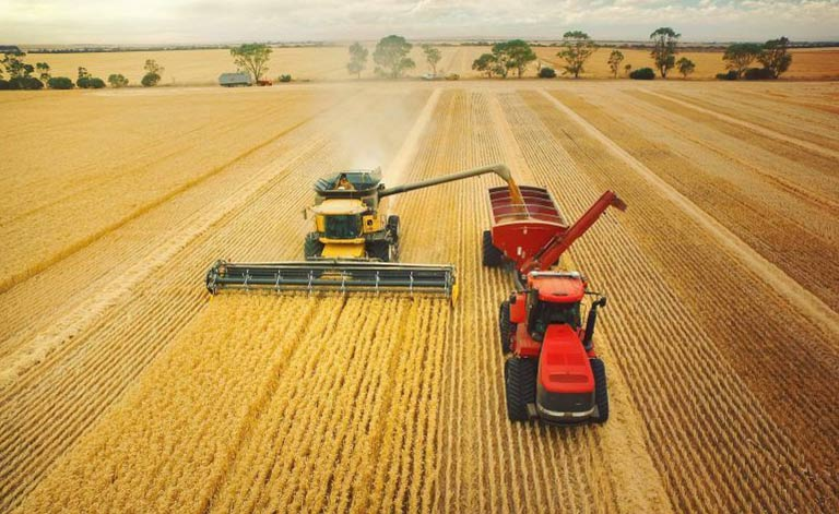 Elders News - Grain grower bids remain well below global values