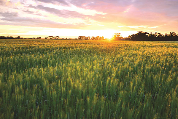 Northern hemisphere spring is nearly here - Cropping Update - April