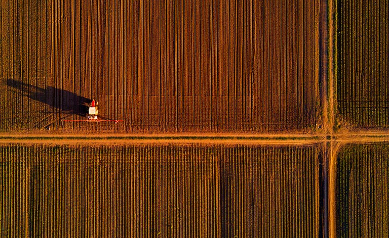 Elders - Cropping update - April 2022