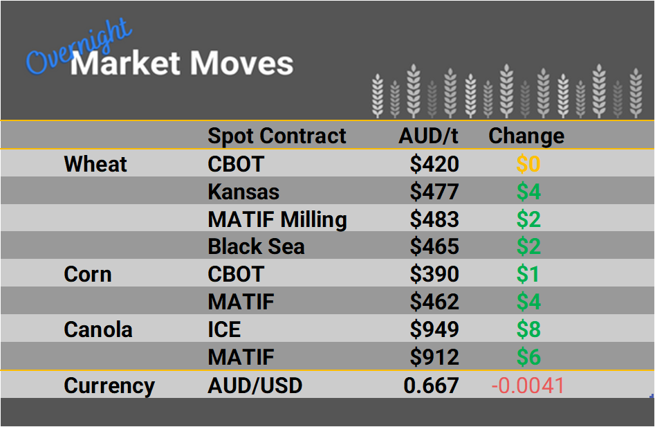 Grain Report Friday - 23rd December