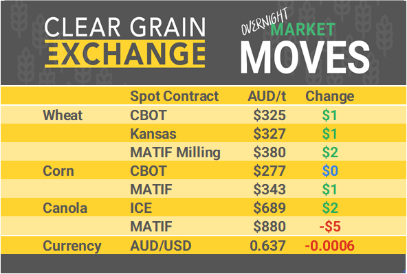 Grain Report Thursday - 12th December