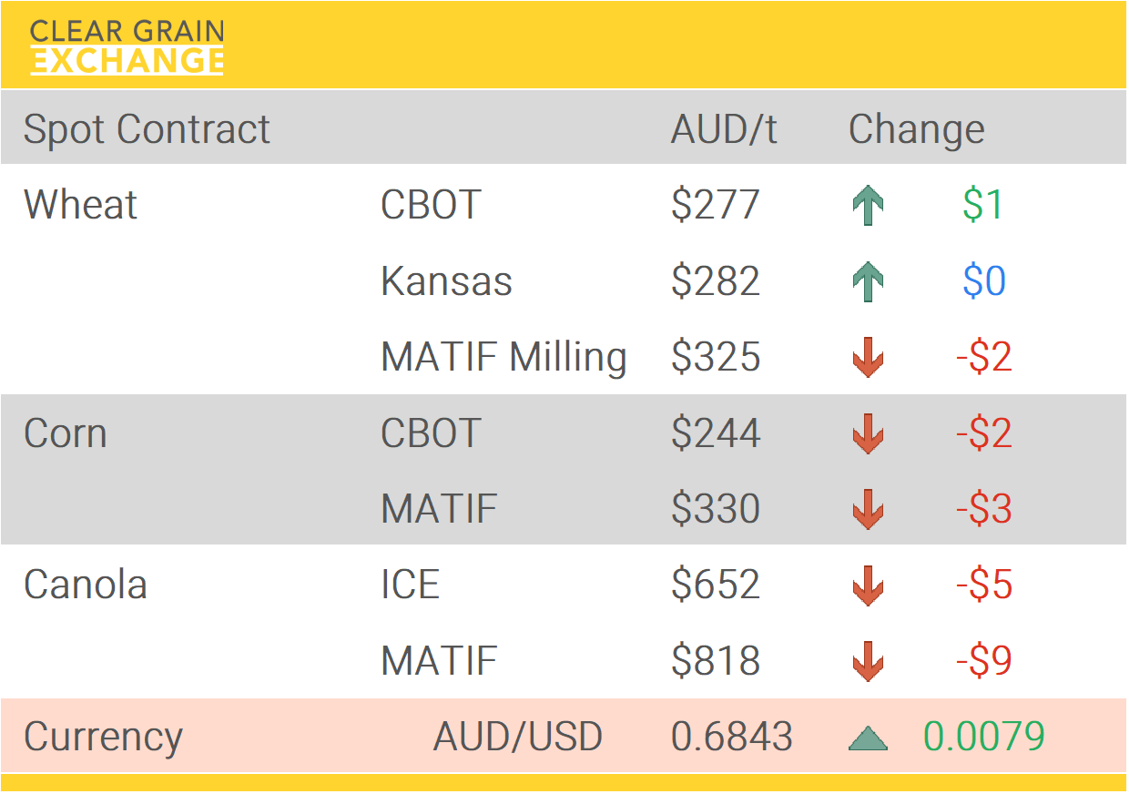 Grain Report Friday- 23rd January