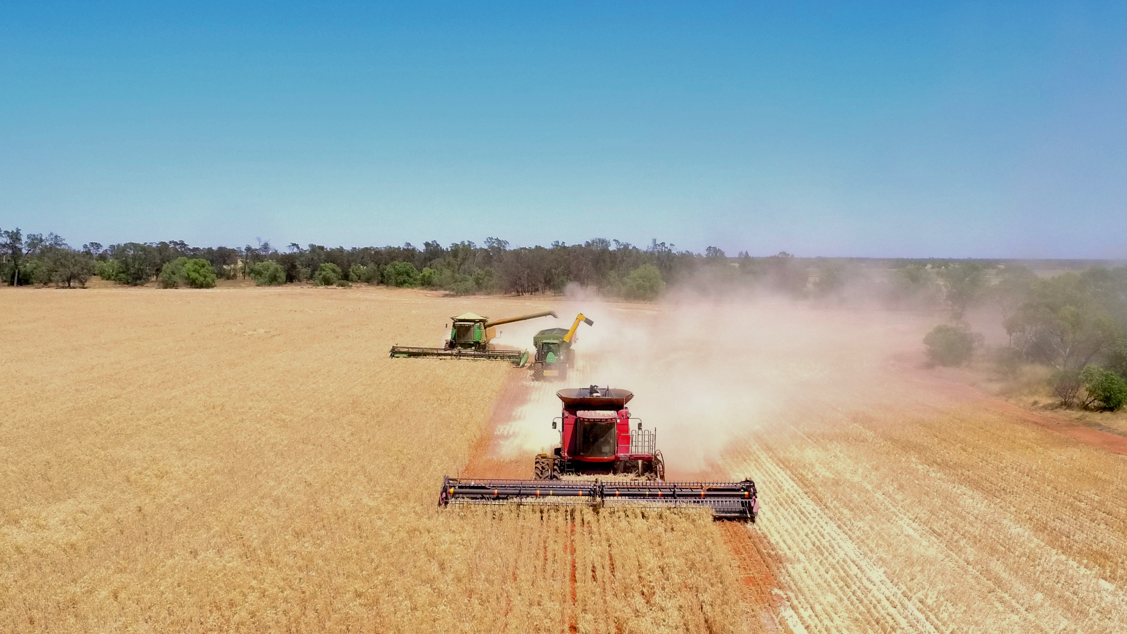 Demand supports grain prices - Cropping update October