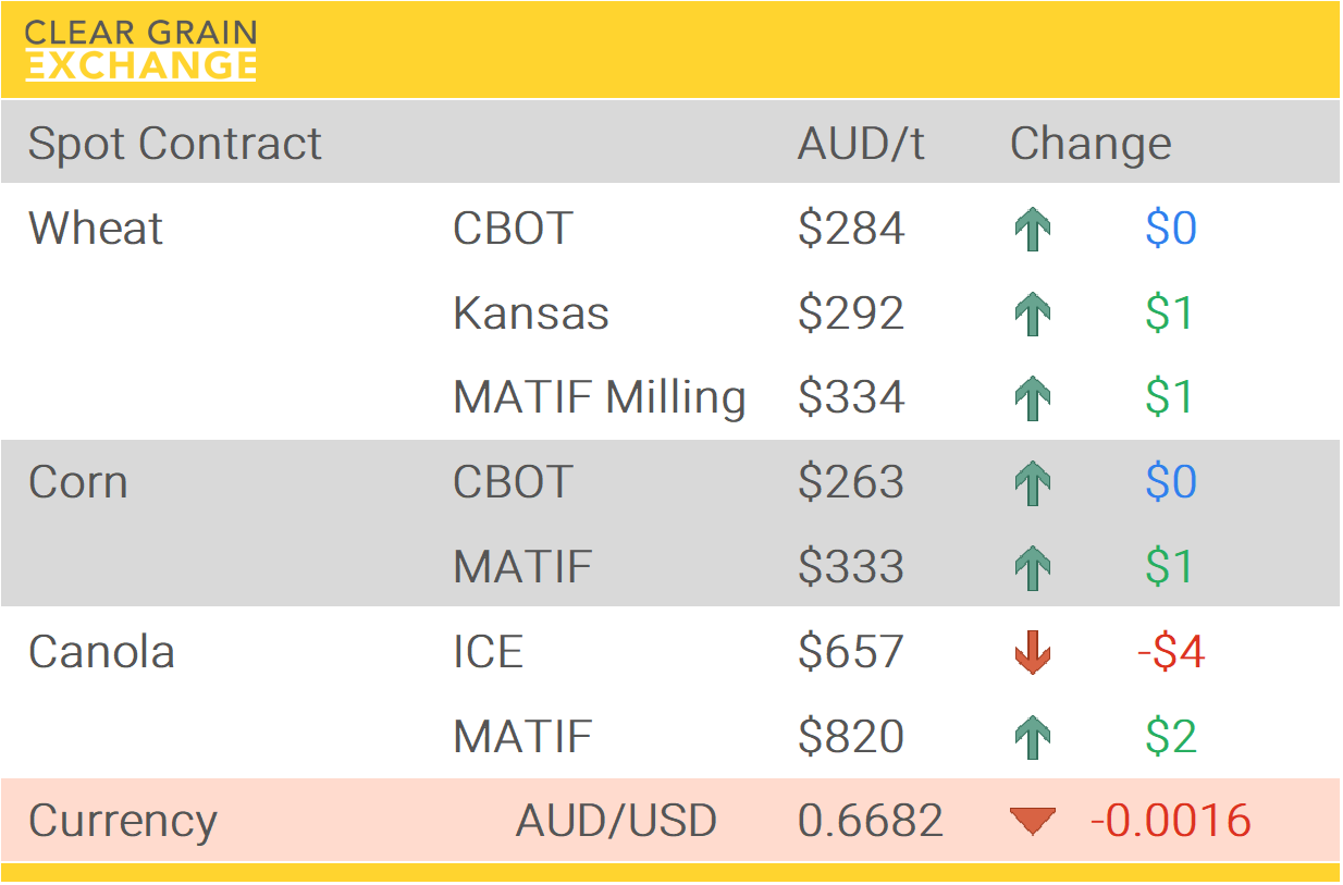 Grain Report Monday- 12th January