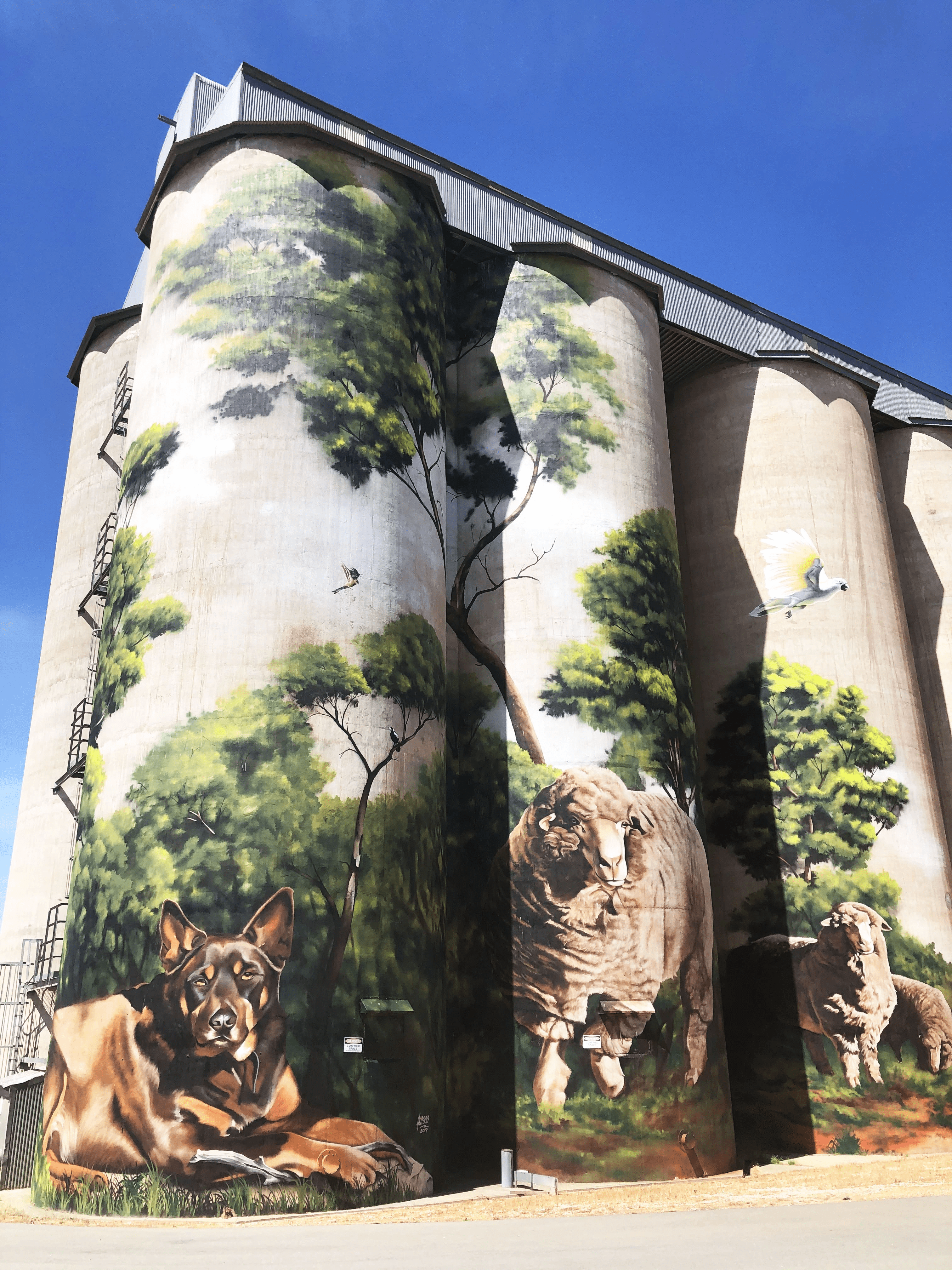 Photo of grain silos in Australia with painted mural