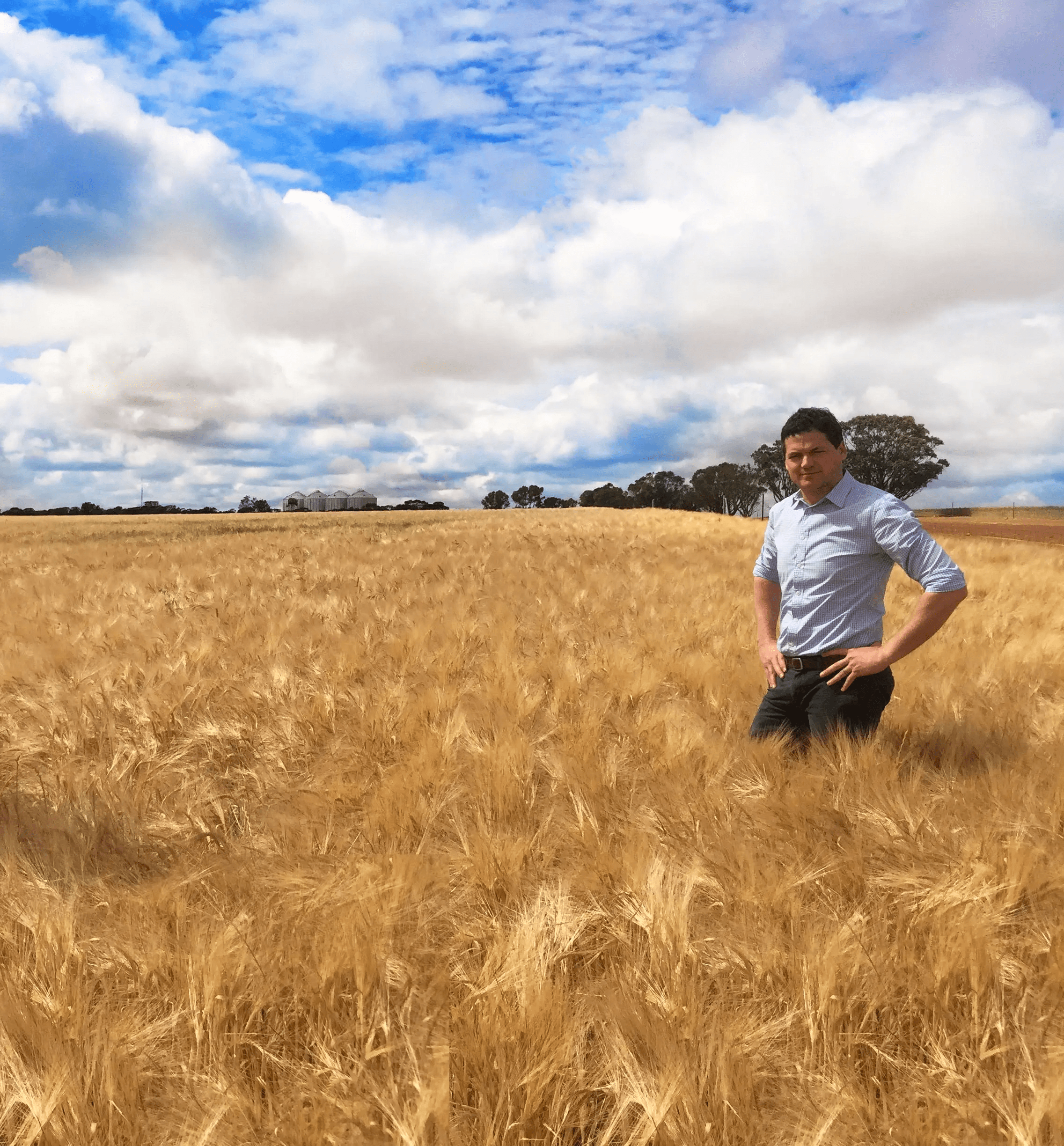 Nathan Cattle, Clear Grain Exchange's managing director, standing in a field